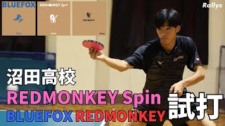 33年ぶりのインハイ出場・沼田高校卓球部にBLUEFOX、REDMONKEY Spin、REDMONKEYを試打してもらった【動画内にクーポンあり】