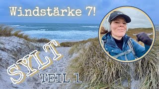 SYLT bei Windstärke 7! 💨 Die Winter-Challenge: 11km sportwandern! 👟 Januar 2025