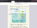 biochemistry mcat chapter 8 carbohydrate metabolism i 1 2