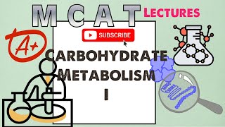 Biochemistry MCAT Chapter 8: Carbohydrate Metabolism I  (1/2)