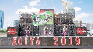 [4K] 纏り衆縁陣　こいや祭り 2019 1日目