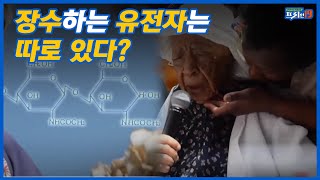 105세 이상 노인들의 유전자 속에서 발견된 공통점!ㅣ#프리한19