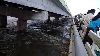 Erode🔛Pallipalayam Bridge High Amount Of Water