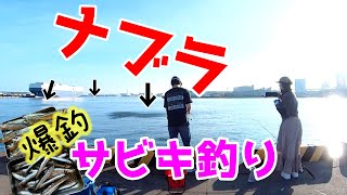 大阪【サビキ釣り】（汐見埠頭）ナブラ発生しまくり!?サビキ釣りの仕掛けしかない!?全力でサビキ釣りしてやりました♪水中映像もあるよ！