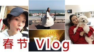 Vlog #3 Dog Year 春节回家过年 ft.狗宝宝们 | 厦门杂记 WowRevee