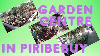 A Garden Centre in Piribebuy, Paraguay