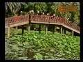 أغنية العيد فرحة ( اهلا بالعيد ) غناء صفاء ابو السعود 