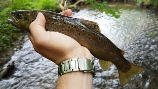 Lov pstruhov na nymfu berkley - Trout fishing Slovakia