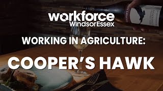 Working in Agriculture: Cooper's Hawk Vineyard