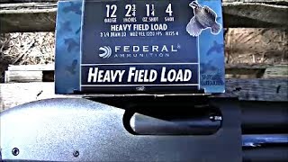 Federal 4 Shot Heavy Field Load (Brush Shoot Test)