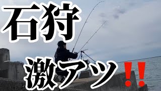 石狩入れ食い‼️楽しい‼️ 必見！水中カメラ映像‼️