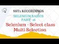 SST2   D21  1  Selenium  Multi Select