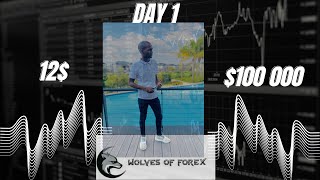 Turning $12 to $100,000 Trading Forex