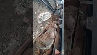 Mul shed derailment Engine no4908 Date 05/02/2024 time 7/30