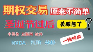 期权交易，2025年美股熊了 ？【1-13-2025】