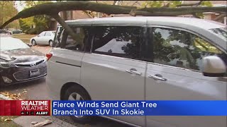 Strong Winds Send Tree Crashing Through SUV In Skokie