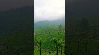 ## இயற்கை  அழகு  ##🌲🌲🌲🌳🌳🌳🏞️🏞️🏞️