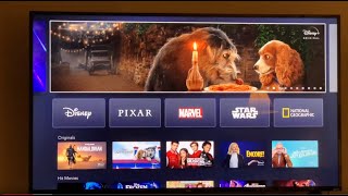 Disney+ (Disney Plus) Launch Day Overview & Review!