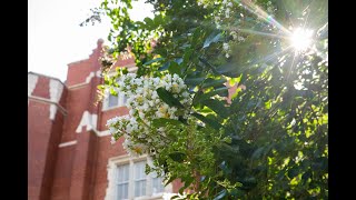 The Inauguration of UF's 13th President