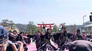 〜百華夢想 瀬戸内支部〜 第20回京都さくらよさこい(神宮道南会場)