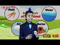 kalvi talks s3 if i had three wishes kanishka m grade 4 grand finale kalvi group of schools