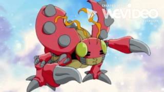 KMP - Butterfly