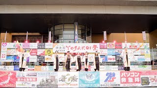 [4K] 園部舞組爽龍隊　御食国 若狭おばまYOSAKOI祭り 2019