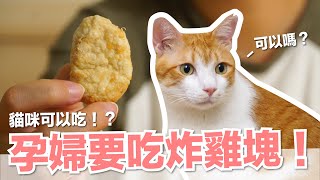 【好味小姐】孕婦要吃炸雞塊！貓咪可以吃？！｜貓副食｜好味貓鮮食廚房EP192 ft.飛利浦氣炸鍋