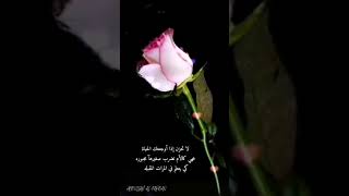 ) لا تحزن إذا أوجعتك الحياة ( #شاهد_للأخير تصميمي شاشه كامله و HD