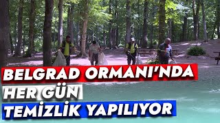 BELGRAD ORMANI'NDA HER GÜN TEMİZLİK YAPILIYOR