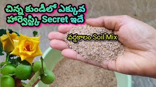 చిన్న కుండీలకి  వర్షకాలం Soil Mix/Telugu Gardener with Arts/ seeds/ Soil Layering/ Mini balcony pots