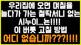 [지지 않가는 시누 사연] 우리집에 오면 며칠을 놀다가 가는 철딱서니 없는 시누이...뇬!!!!  이 버릇 고칠 방법 어디 없습니까???!!!!/썰/사연/네이트판/결시친