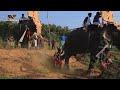 തോട് ചാടി കടന്ന് ആനകൾ പൂരപ്പറമ്പിലേക്ക് venjamaram pooram elephant