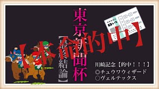 東京新聞杯2022【最終結論】注目馬はファインルージュとカラテだけじゃない！！！！