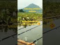 mancing jatiluhur terbaru tangan sama udud sama sama sibuk jadi begini hasil nya#shots