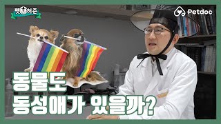 동물도 동성애가 있을까? I 펫허준 ep.16