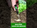 2 in 1 soil ec u0026 temp meter abeeze ec8801 practical and best gardening tool kit shorts