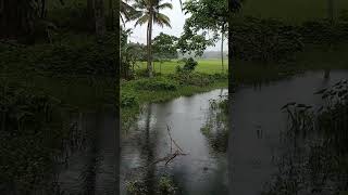 എൻ്റെ ചെറിയ ഗ്രാമം | Ente Cheriya  Gramam | My small village | Thevelekkara.