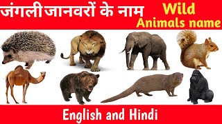 wild animals । जंगली जानवरों के नाम हिंदी और अंग्रेजी में । Animals name । #wildanimals