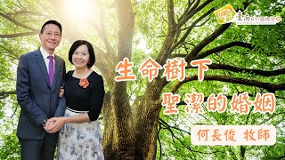 台南611 主日信息｜【生命樹下聖潔的婚姻 】｜何長俊 牧師｜2023.07.09