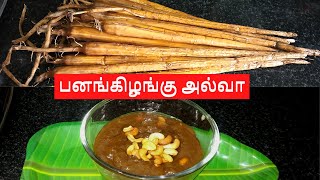 பனங்கிழங்கு அல்வா | இதுல இவளவு taste ஆன அல்வாவா | healthy-ஆன ஹல்வா | palm sprouts