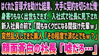 【感動する話】はぐれた盲導犬を助けた結果、大手の契約が切れる羽目に…入社式で社長「間もなくクビの先輩だｗ」会場に突然乱入してきた美人女性が駆け寄り「その程度で済むとでも？」社長「嘘だろ…」【泣ける話】