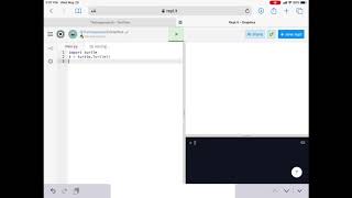 Python Turtle Graphics-Goto