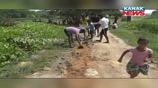 Kendrapara: Villagers Build Road On Their Own