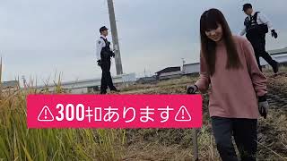 稲刈りしてたら警察沙汰(;´д｀) #国家権力 #ありがとう 交通整理のみならず落ちたロールまで拾ってくれました✨ご迷惑御掛けしましたm(_ _)m