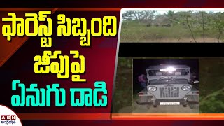 ఫారెస్ట్‌ సిబ్బంది జీపుపై ఏనుగు దాడి | Elephant attack on Forest‌ crew jeep | ABN Telugu