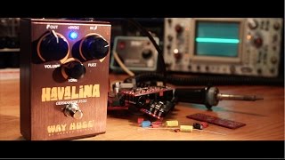 The Way Huge Havalina Germanium Fuzz: A Complete Overview (Humbuckers \u0026 Single Coils)