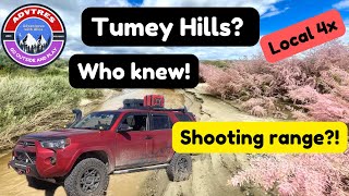 Tumey Hills - Day Trip 4Runner - Shooting Range?!?! No OHV - Oh Yeah!