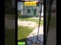 رفتم اردکه رو بگیرم😁 الفرار😋😂 یهو مرغه فرار کرد😐ترسو گوشت تلخ😅 animals animalshorts