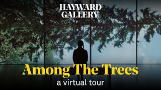 Among the Trees: A virtual tour | Hayward Gallery